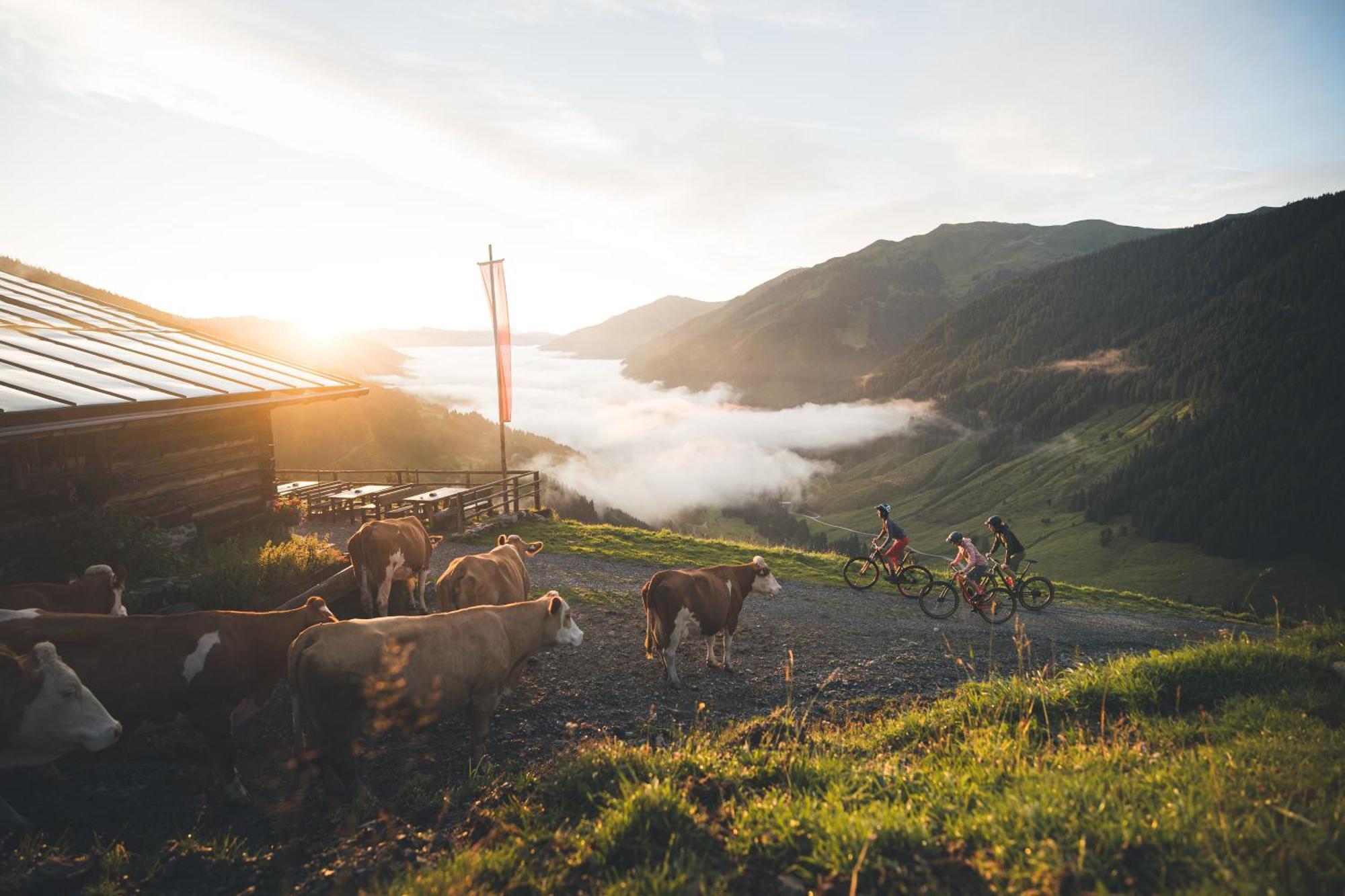 Philson Apartments Saalbach-Hinterglemm Ngoại thất bức ảnh